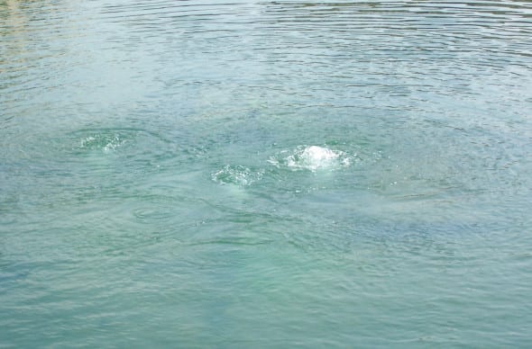 Bagno Vignoni - Piazza delle Sorgenti (Foto: Luca Zuccala © ArtsLife)