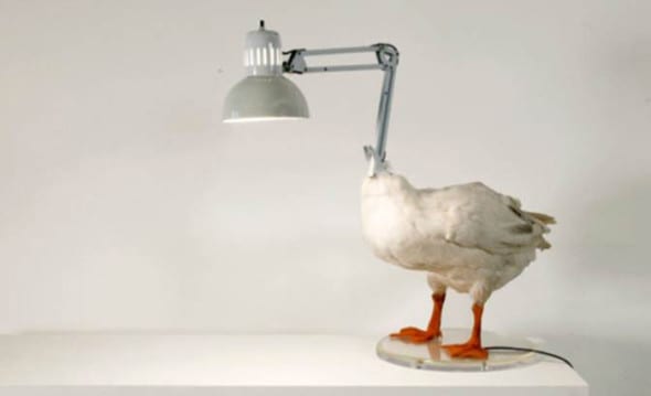 sebastian Errazuriz, Duck Lamp