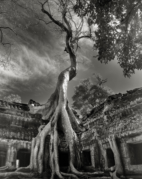 RILKE'S BAYON by Beth Moon