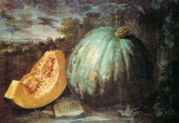 Bartolomeo Bimbi, Zucca, 1711