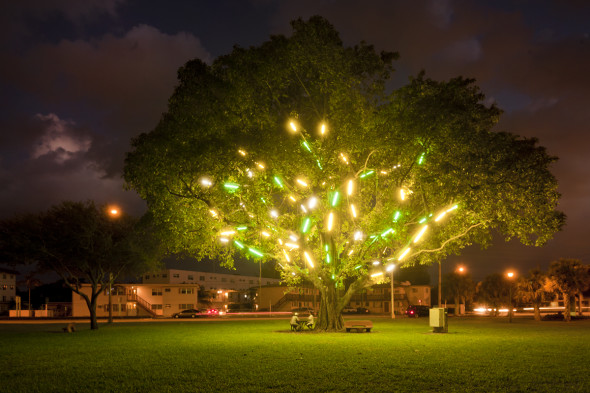 ElectricTree, 2011 Griffin Park, Miami