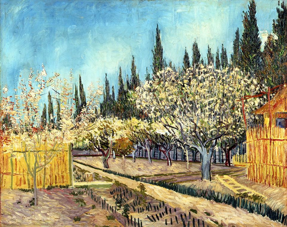 Van Gogh I Colori Della Vita In Arrivo Una Grande Mostra A Padova Nel