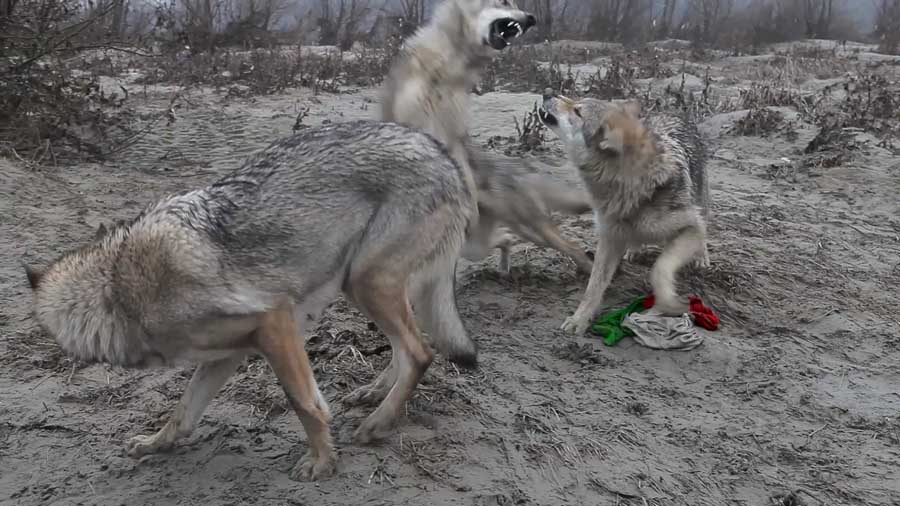 “De Rerum Natura” sesto appuntamento alla Galleria De Faveri