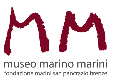 Museo Marini Marini, presentato il calendario delle attività 2012 – 2014