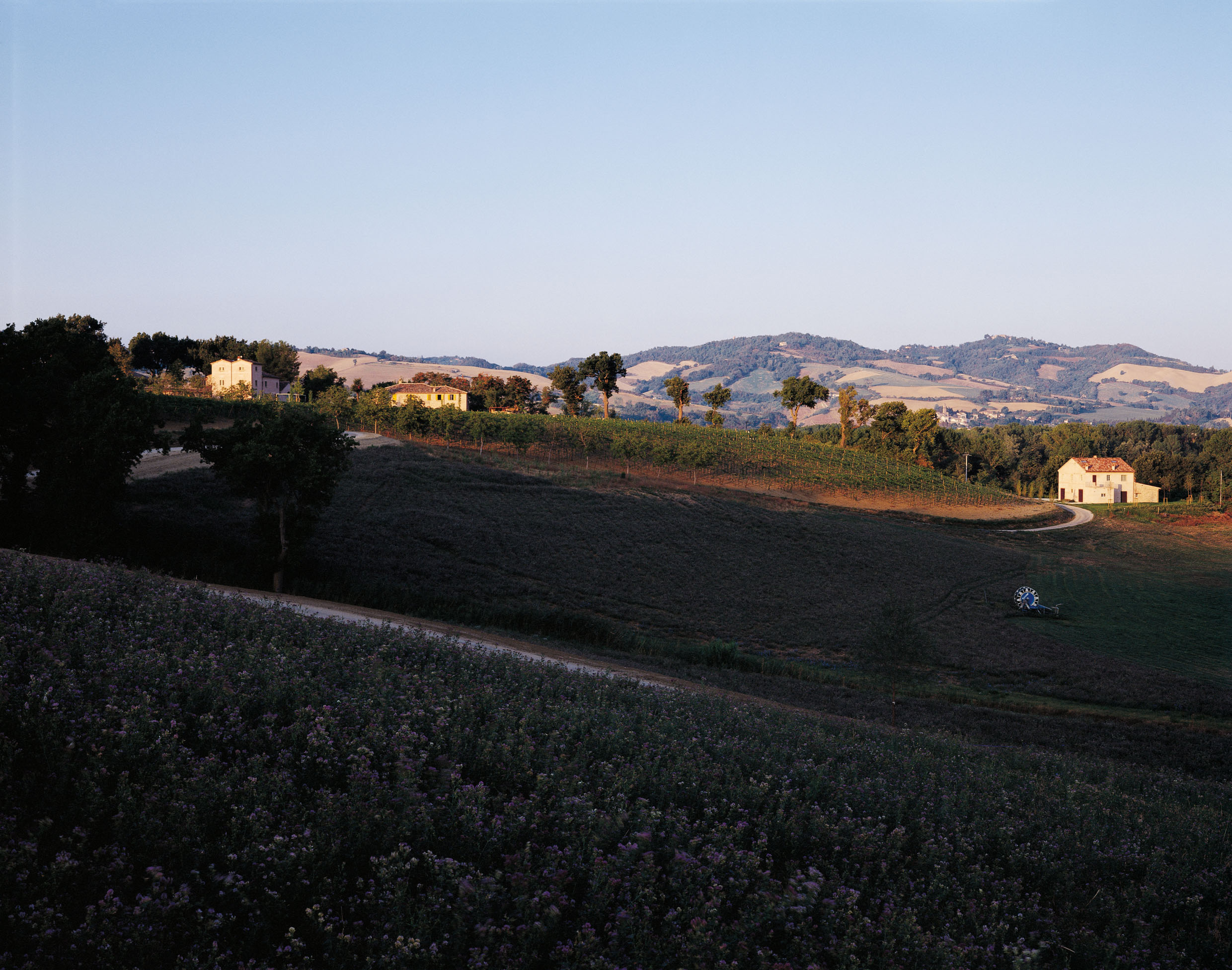 La scoperta del paesaggio della Gioconda nei territori di Urbino‏
