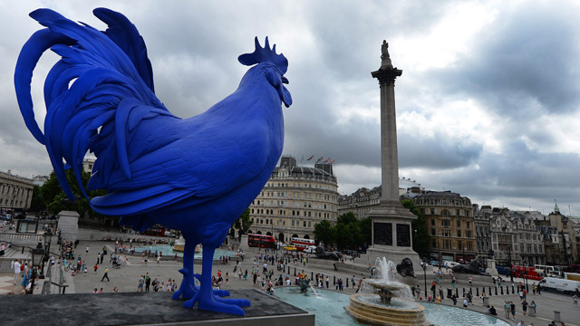 Un grande gallo blu a Trafalgar Square