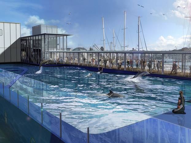 Genova -Inaugura il nuovo Padiglione Cetacei dell’Acquario di Renzo Piano