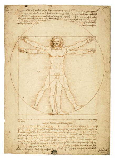 Il “diario personale” di Leonardo nei disegni in mostra a Venezia