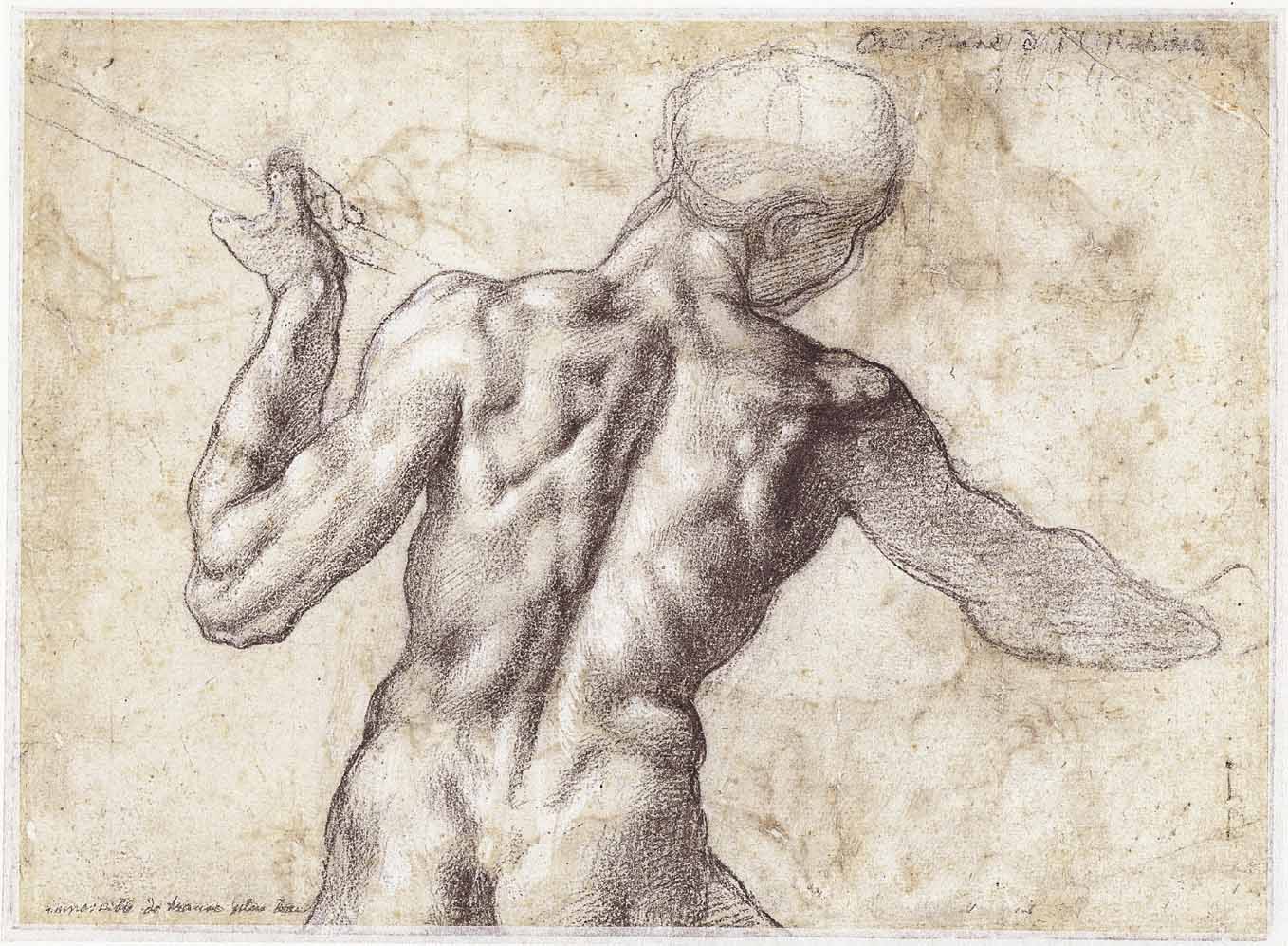 A Firenze i 450 anni dell’Accademia delle Arti e del Disegno