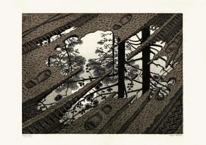 Maurits Cornelis Escher Pozzanghera