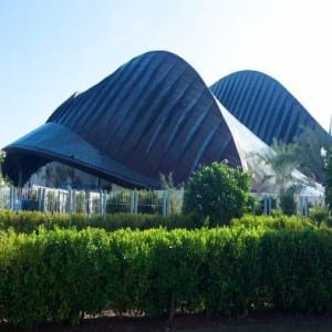 Abu Dhabi Art Fair