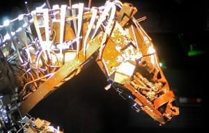 alejandro-marmo-cavalli