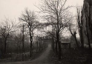 Vigna di Leonardo nel 1920