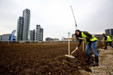 In centinaia a Milano per seminare il campo di grano di Agnes Denes