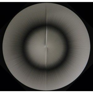 Alberto Biasi, Dinamica circolare (Scudo)