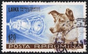 Ryts Monet, “Laika”