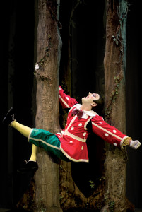 PINOCCHIO il grande musical, foto di Alessandro Pinna