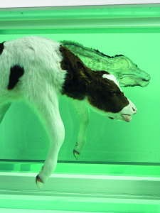 Damien Hirst