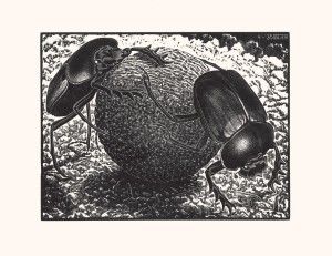 Escher