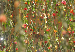 Rebecca_Louise_Law_Falling_Garden