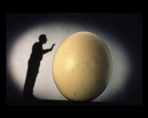 Studio Azzurro, Il Mnemonista, 2000