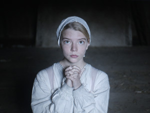 the VVitch - the witch