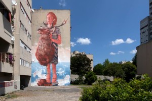 muro fintan