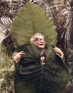 Burle Marx