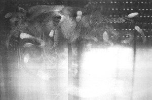 Gianluca-Codeghini-At-the-source-of-noise-12-1996_detail