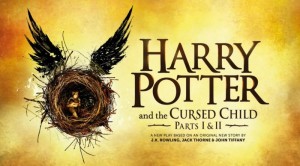 Harry Potter VIII libro