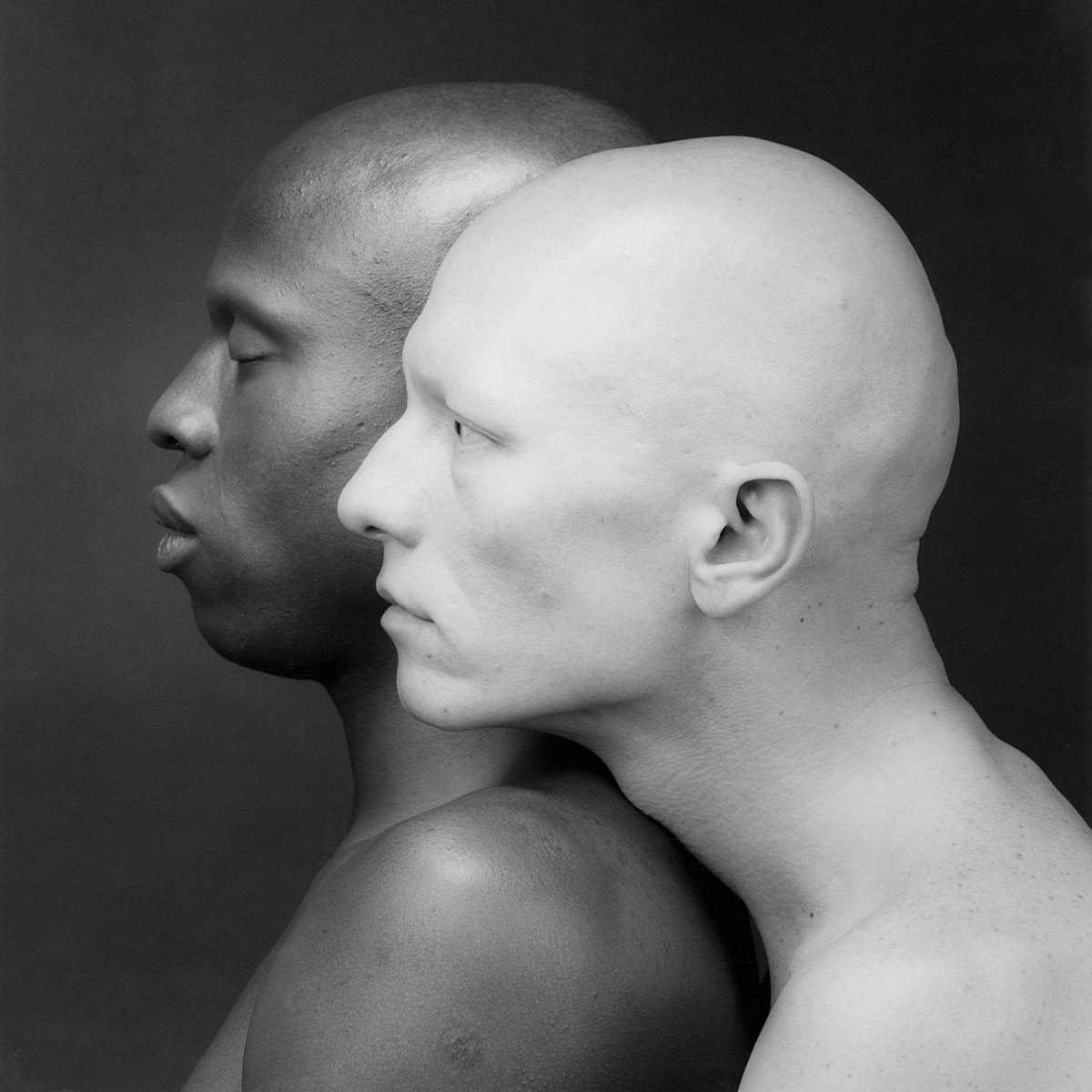 MAPPLETHORPE. LOOK AT THE PICTURES