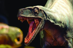 Herrerasaurus ischigualastensis, particolare