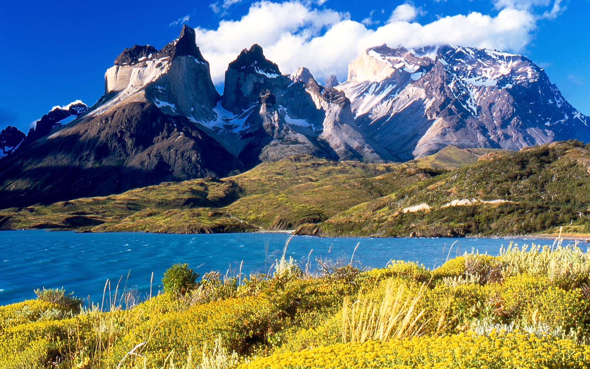 Proposte viaggi: dalla selvaggia Patagonia alla festa dei ciliegi giapponese