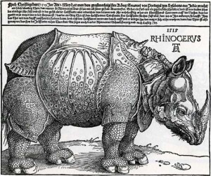 Albrecht Dürer, Rinoceronte,