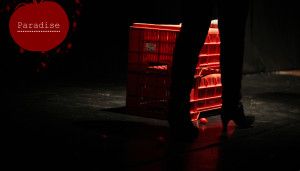 Paradise teatro