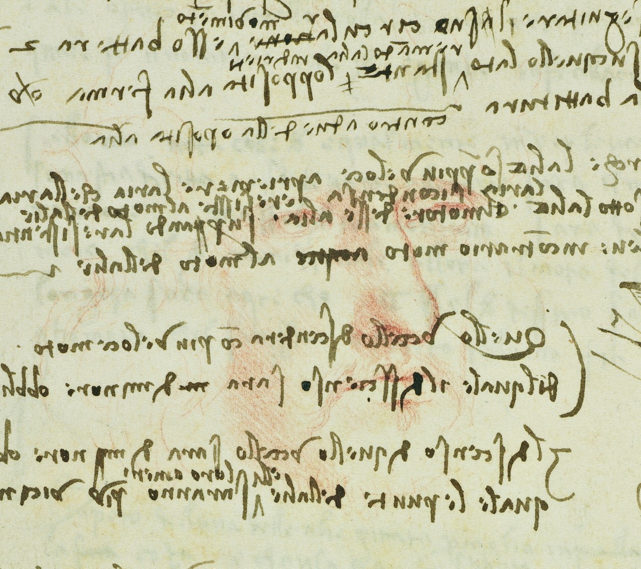 La carta 10V del Codice dove si intravede un autoritratto leonardesco