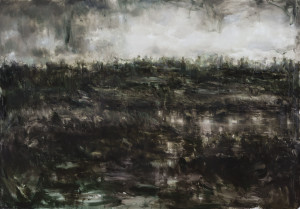 Alessandro Papetti, Palude, 2016. Mostra MARCA Catanzaro