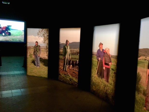 Fotografia Europea 2017, Reggio Emilia