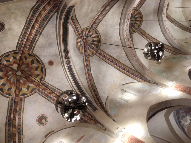 Io non amo la natura, 2017, Complesso Monumentale di San Francesco, Cuneo