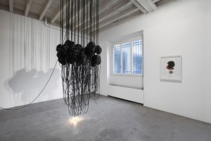 Paolo Grassino - Per sedurre gli insetti - 2015
