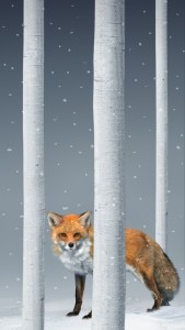 A Winter Fable di Robert Wilson