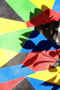 Vittoria Drago, La polarità della realtà, 2017, 255 Raw Gallery