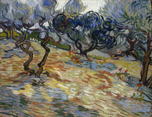 Vincent van Gogh, Ulivi, 1889, olio su tela, cm 51 x 65,2. Edimburgo, Scottish National Gallery. © Antonia Reeve