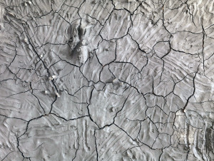 Gianni Pettena, Human Wall Merano Arte mostra