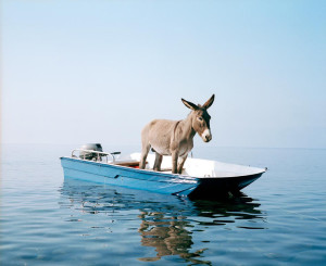 Paola PiviUntitled, 2003 photographic print on Dibond cm 180 x x224 Photo: Hugo Glendinning Courtesy: Galleria Massimo De Carlo