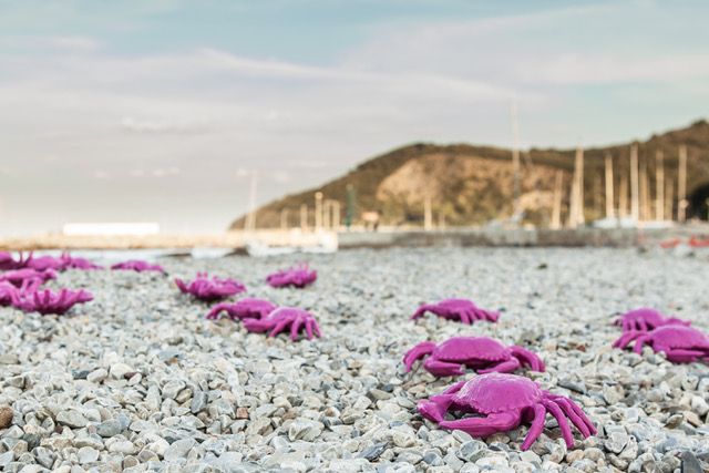 Cracking Art sbarca all’Isola d’Elba con un’invasione di granchi rosa