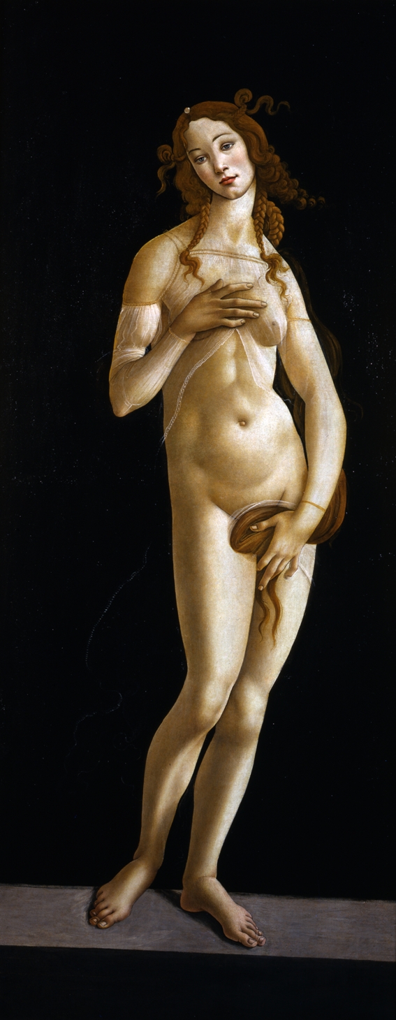Torna a casa la Venere di Botticelli dei Musei Reali di Torino