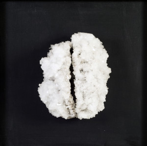 Francesca Romana Pinzari, Brain, 2016, cristalli di solfato di magnesio su struttura metallica, cm 50x50x20. Ph Andrea Veneri