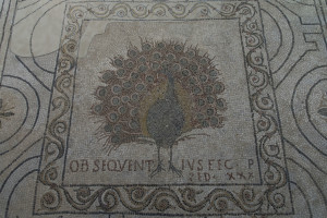 Mosaico Pavone dopo il restauro