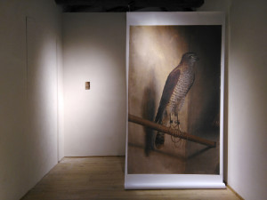 Interno del BoCs Art Museum il nuovo Museo d’Arte Contemporanea di Cosenza